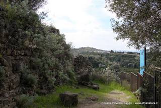 stellaccio02-07-2015 19-14-27